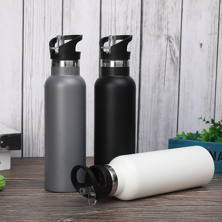 Stainless Steel Insulated Double Wall Bottle & Leakproof Straw
