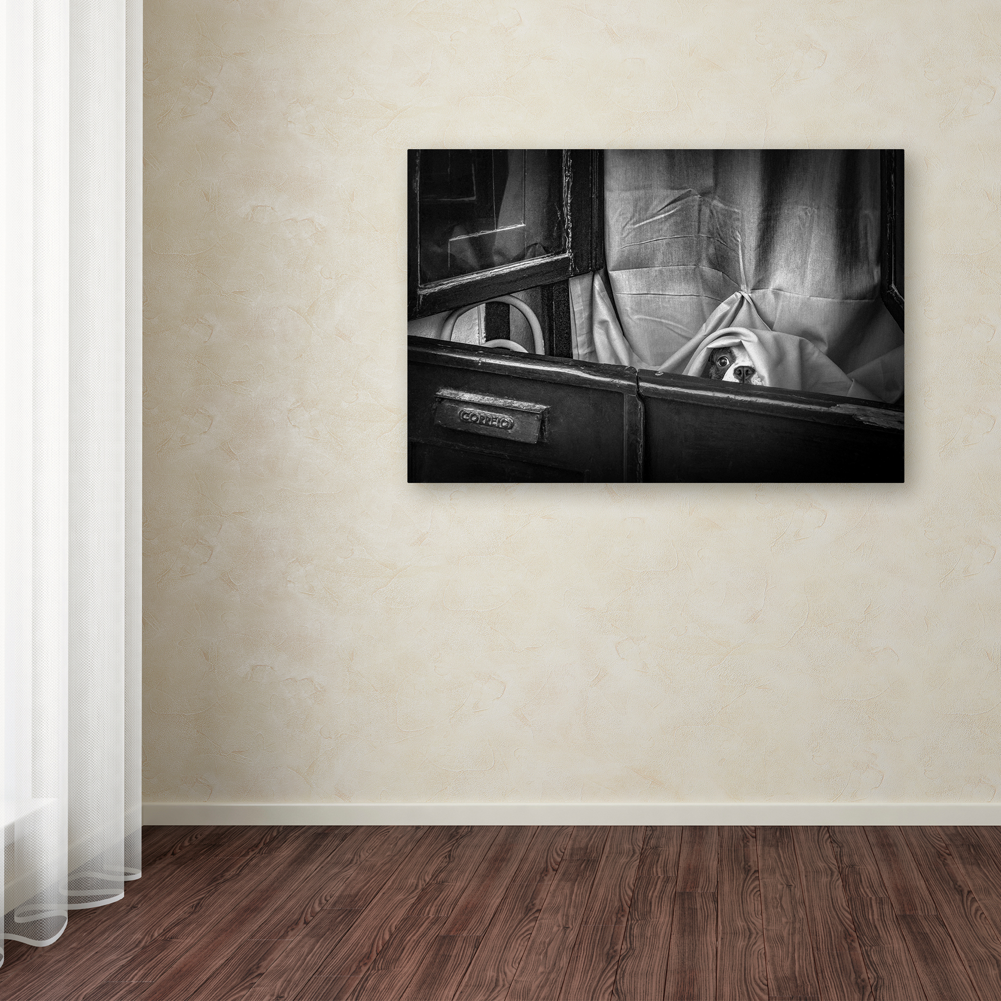 Trademark Fine Art 'Hello' Canvas Art by Fernando Jorge Gonçalves