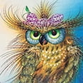 thumbnail image 3 of GUOOL DIY 5D Diamond Embroidery Painting Cross Stitch Wall Hanging Decor Color Owl, 3 of 6