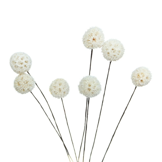 Flores secas de bola de billy Flores secas Flores artificiales secas Decoración del jardín del hogar