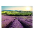thumbnail image 3 of Tiptophomedecor Landscape Wallpaper Wall Mural - Lavender Field, 3 of 4