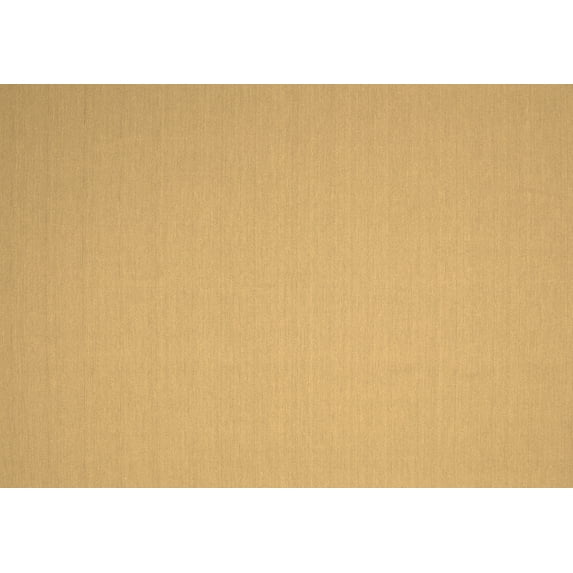 Ahgly Company Indoor Rectangle Solid Brown Modern Area Rugs, 8' x 12'