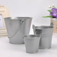 thumbnail image 1 of Nvzi Mini maceta de hojalata plateada de 2 piezas, ideal para el hogar y el jardín, para guardar plantas y flores en la mesa. Tamaño grande., 1 of 5