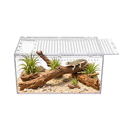 Reptile Growth Reptile PC Terrarium,Tarantula Enclosure,Spider Tank with Magnetic Button.12"x 8" x 6" Lizard Enclosure,Reptile Breeding Tank for Insect,Fish,Tarantula,Hermit Crab,Small Bearded Dragon
