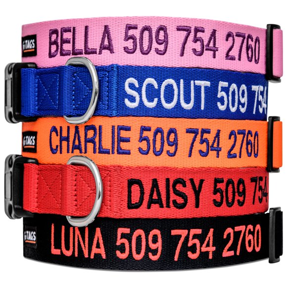 Collar para perro GoTags personalizado bordado y ajustable de nailon