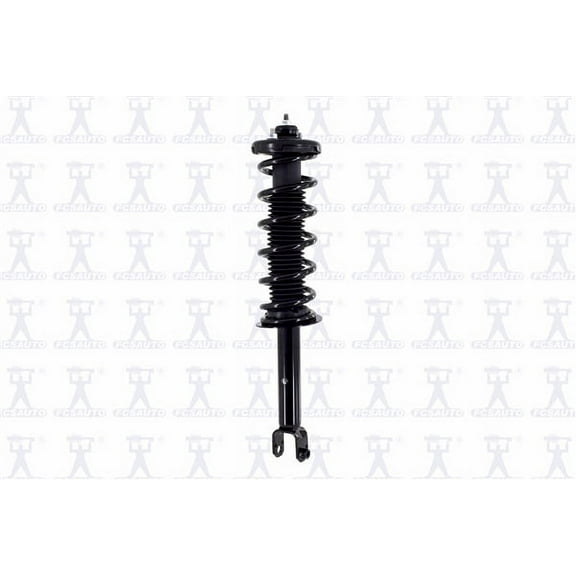 Suspension Strut and Coil Spring Assembly