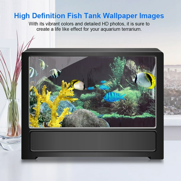 Aquarium fish hotsell at walmart