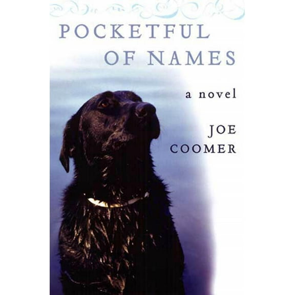 Pocketful of Names, (Paperback)
