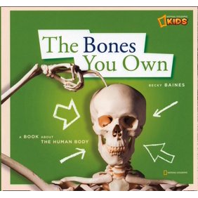 Zigzag Your Skin Holds You In A Book About Your Skin Walmart Com