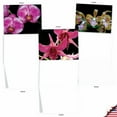 thumbnail image 4 of 10 Assorted All Occasion Blank Note Cards with Envelopes (4 x 5.12 Inch) - ORCHID NIGHTS M1734BN, 4 of 6