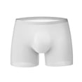 thumbnail image 2 of ruhuadgb Men Boxers Shorts Ice Silk Men Panties Seamless U Convex High Elasticity Underwear Man Underpants Panties Male Ultra-thin Breathable Briefs, 2 of 8