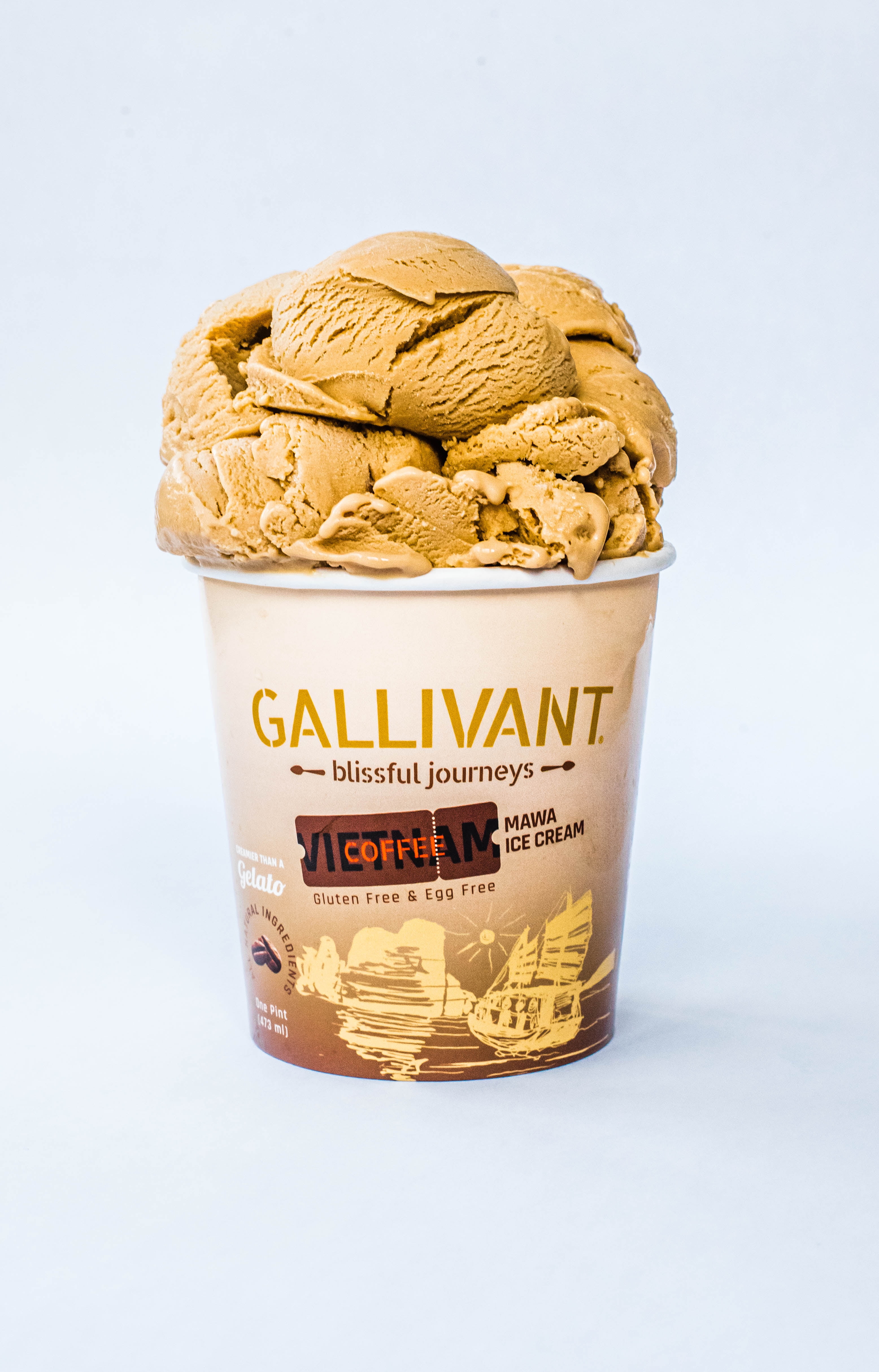 Vietnamese Coffee Mawa Ice Cream
