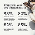 thumbnail image 5 of PetLab Co. ProBright Advanced Dental Powder - Award Winning Dog Breath Freshener - Teeth Cleaning Made Easy – Targets Tartar & Bad Breath - Formulated for Extra Small  Dogs, 5 of 13