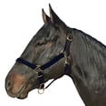thumbnail image 3 of Intrepid International Poly with Leather Crown Halter-Cob/Sm.Horse Navy, 3 of 6