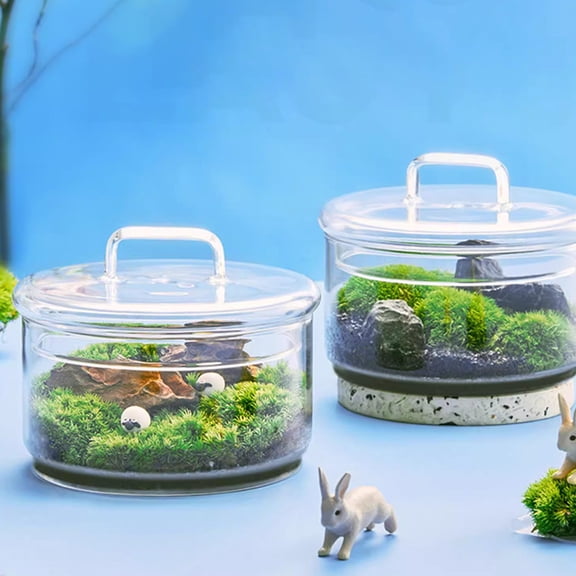 RENACLIPY Glass Terrarium Bottle with Lid for Home Tabletop Decoration, 1Set