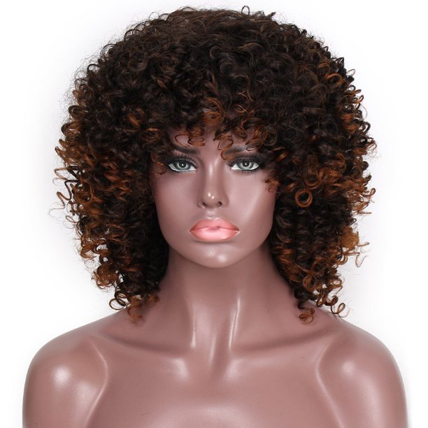 Afro Wig Synthetic Kinky Curly Wig for Women Dark Brown Curly Hair