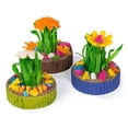 thumbnail image 1 of Juguete masticable PH Prevue Hendryx Succulent MiniGarden, paquete de 3, 1 of 1