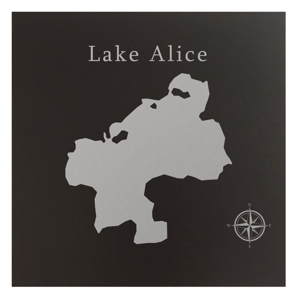 Lake Alice Map 24x24" Black Metal Wall Art Office Decor Gift Engraved