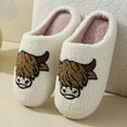 thumbnail image 2 of Leozcaa Slippers for Women Cozy Furry House Slippers Men Cute Warm Indoor Non-Slip Winter Cozy Shoes, 2 of 9
