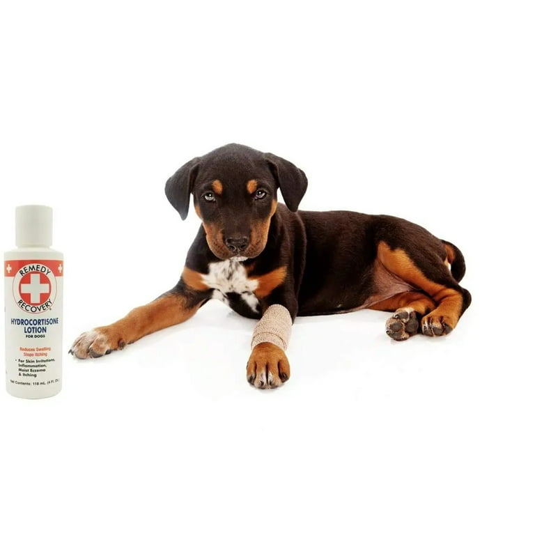 Dog licking hydrocortisone clearance cream