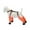 OrangeL, variant on Waterproof Dog Boots Adjustable Suspender Leggings Dog Boots Winter Snow Rain Hiking Walking Anti- Dogs Pants Anti-Slip Dog Shoes Pet Paws Protector