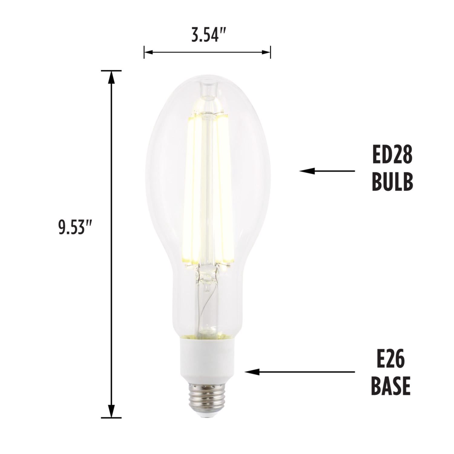 Westinghouse Lighting 5253000 32 Watt (300 Watt Incandescent Equivalent) ED28 Daylight High Lumen Filament LED Light Bulb, Medium Base