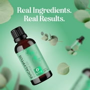 Maple Holistics Eucalyptus Essential Oil for Aromatherapy, 1 Fl Oz