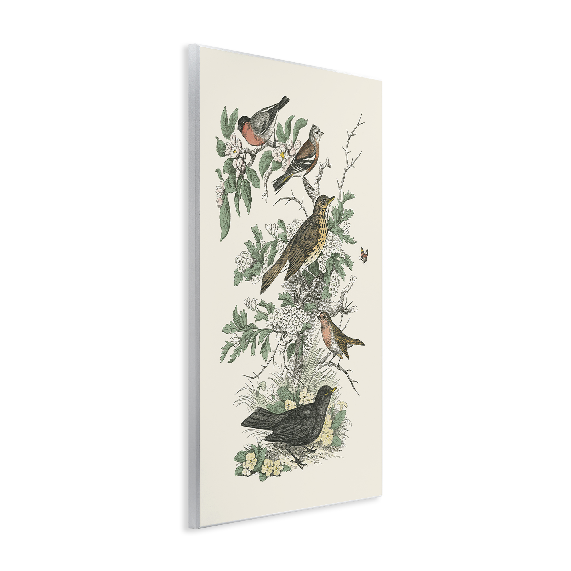Stupell Industries Honeybloom Birds Perched Botanical & Floral Painting Unframed Art Print Wall Art, 10 x 15