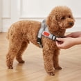 thumbnail image 6 of Dog Harness No Pull, TOUMENY Breathable Adjustable Soft Mesh Dog Vest Harness, Reflective Outdoor Walking Chest Strap for Small Medium Dogs Training, Gray, 6 of 6