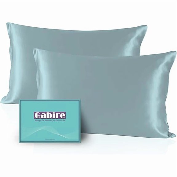 Mulberry Silk Pillow Cases Set of 2, Both Sides Real Silk Pillow Cover for Hair and Skin Cool Pillowcase Organic Silk Pillowcase 2 Pack with Hidden Zipper, Haze Blue, Queen (20"×30")