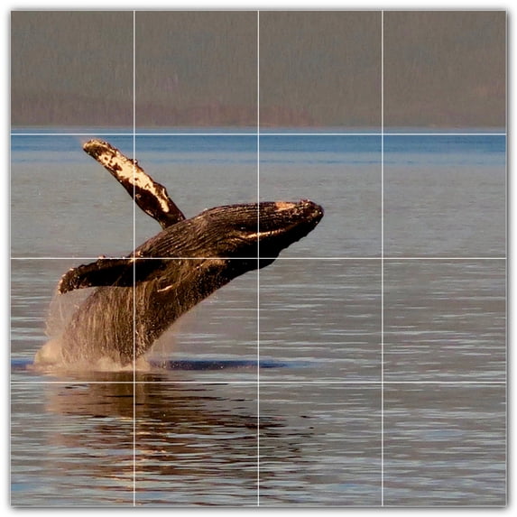 Picture-Tiles.com: Whale Ceramic Tile Wall Mural WAL501186-44L. 32"W x 32"H using (16) 8" x 8" Ceramic Tiles-Satin Finish