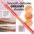thumbnail image 6 of Castle Art Supplies 48 Pasteltint Colored Pencils Set with Extras, 6 of 6
