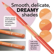 Castle Art Supplies 48 Pasteltint Colored Pencils Set with Extras