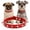 Red, variant on Mumup 1Pack Enjoying Spike Cat Collar, Spiked Dog Collar for Small Dogs, Anti-Bite Studded Protective, Faux Leather Spiky Collar with Metal Rings for Hold Pet Tags/Leash, Adjustable