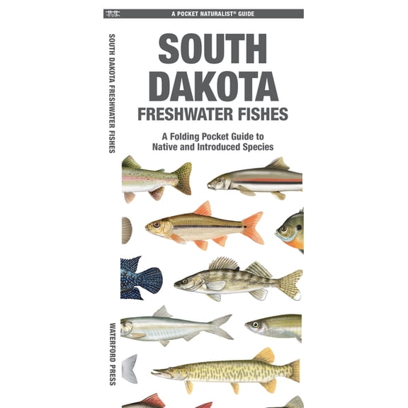 Nature Observation North : South Dakota Freshwater Fishes : A Folding Pocket Guide to Native and Introduced Species (Other)