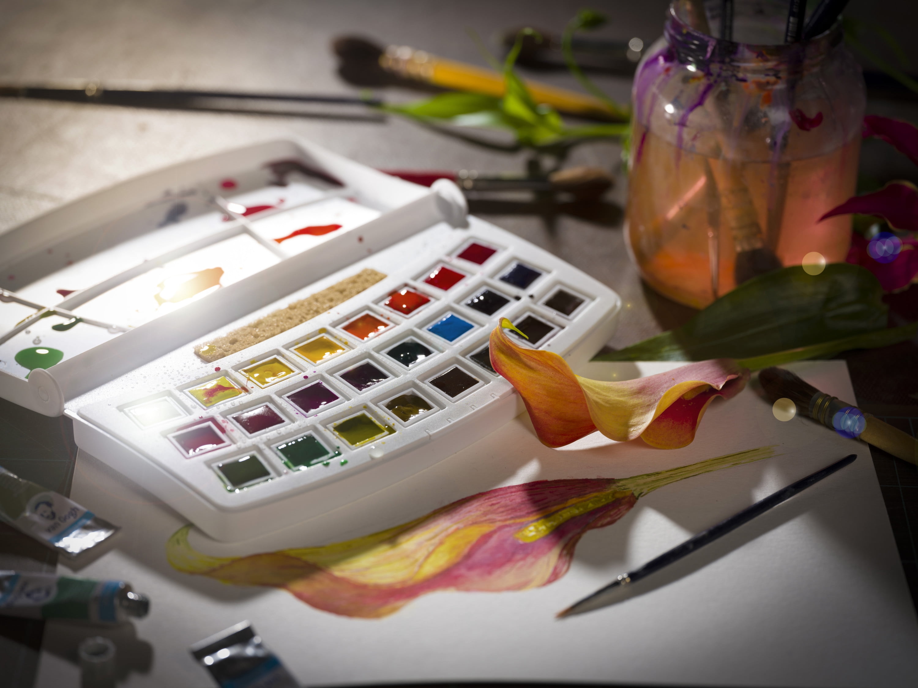Van Gogh Watercolor Pan Set, 24-Colors, Botanical Colors