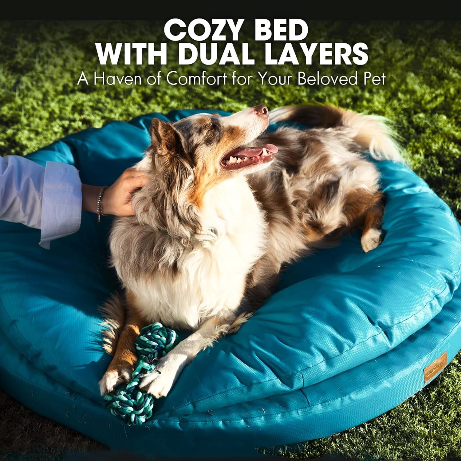 ClevaHome Orthopedic Pet Bed for Large Dogs: This mattress features a waterproof, washable surface, along with a waterproof inner liner and a non-slip bottom. Available in 42"x42"x8", blue
