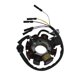 thumbnail image 1 of Inducido 8 Bobinas Honda Cg 125 (87-94) (Wstd) multicolor, 1 of 2
