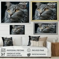 thumbnail image 4 of Designart "Pensive Chartreux Cat Gaze I" Animals Cat Canvas Art Print, 4 of 7