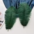 thumbnail image 4 of Blackish Green Ostrich Feathers Bulk- 24pcs 10-12inch for Wedding Party Centerpieces Christmas Decor, 4 of 14
