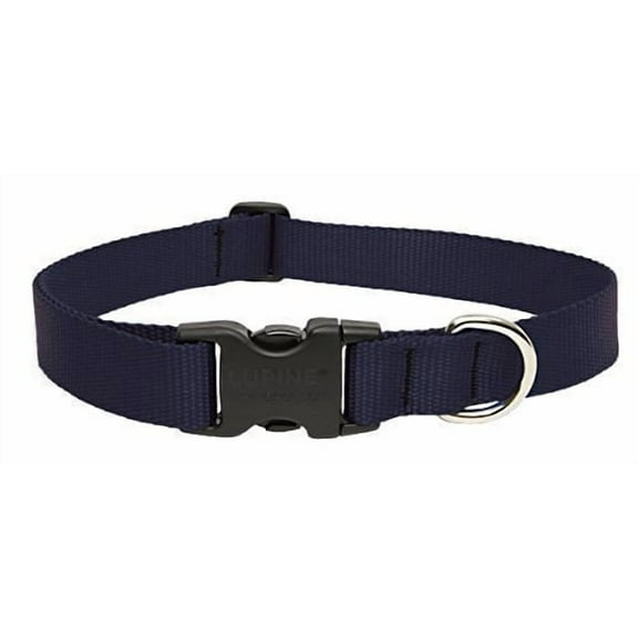 Lupine Collars & Leads 27552 1" X 12"-20" Adjustable Black Collar For Medium & Large Dogs