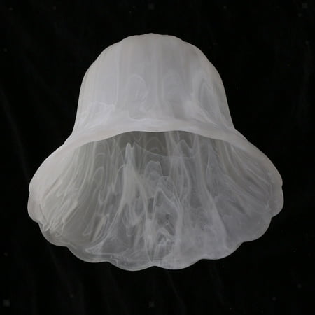 

Tu She Vinta Frosted & Clear Glass Lamp Shade Replacement