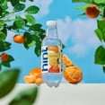 thumbnail image 6 of Hint Bottled Water, Tangerine- Purified Flavored Water with Zero Calories, Sugar Free, Natural Flavors - 16 Fl Oz (Pack of 12), 6 of 6