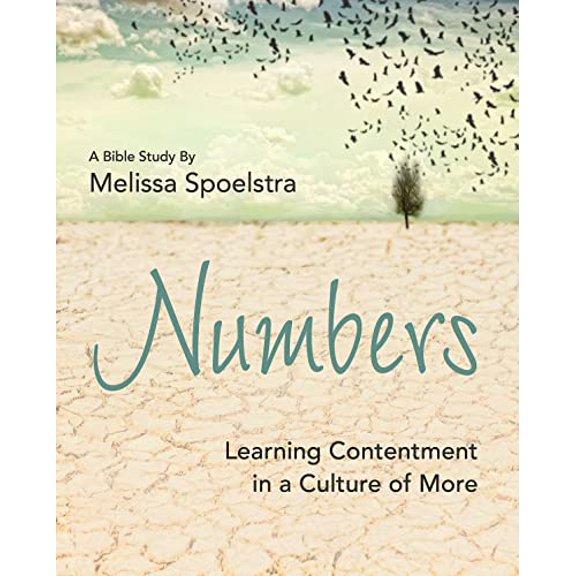 Pre-Owned Numbers - Women's Bible Study Participant Workbook: Learning Contentment in a Culture of More (Paperback) 1501801740 9781501801747