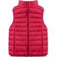 thumbnail image 1 of LinYooLi Women's Ultra Light Short Down Vest Quilted Puffer Down Vest for Fall Winter, 1 of 4