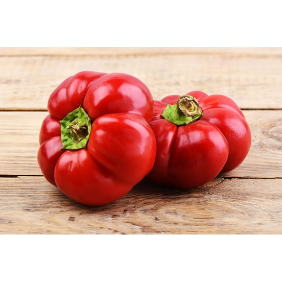 50 Seeds Organic SHEEPNOSE PIMENTO PEPPER Sweet Red Pimiento Cheese Capsicum Annuum Seeds