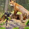 thumbnail image 2 of Tripod,Stand With Removable Camera Stand With 1/4 Inch Screw Removable Ball Head H20 Portable Camera Portable Camera Stand With 1/4 Head Portable With Screw Dslr/mirrorless Dv, 2 of 7