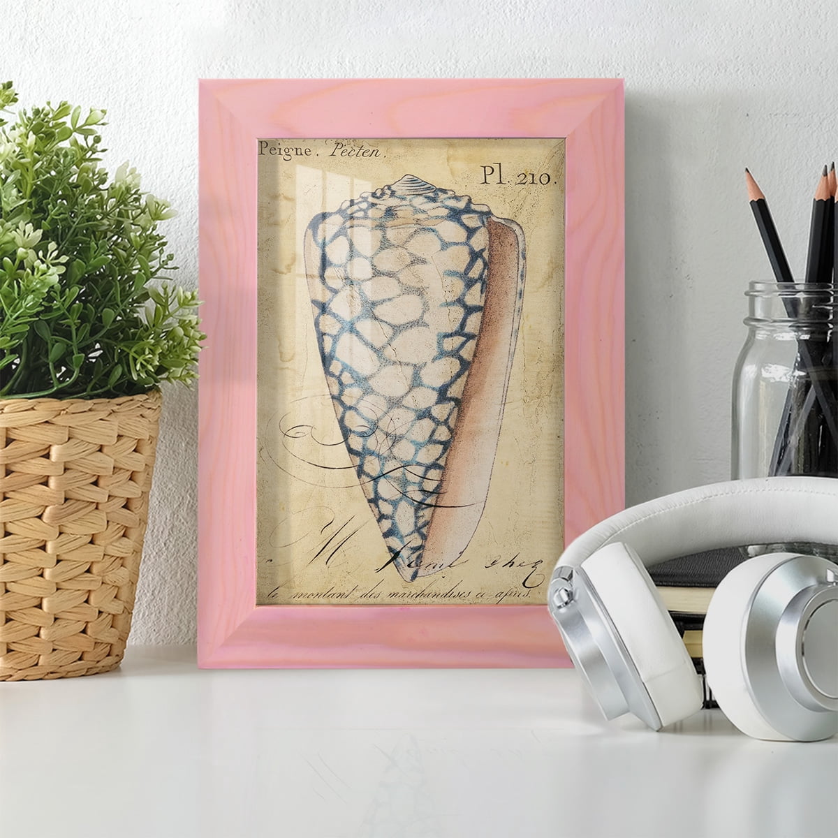 Seashell Ephemera IV - Framed Print w/glass - Sunset Pink