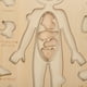 thumbnail image 4 of 1 juego de rompecabezas de cuerpo de madera para niños, juguete educativo de anatomía, juego de rompecabezas de órganos, juguete educativo, 4 of 7