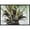 Black, variant on Carolines Treasures Orange Top Palm Tree Indoor & Outdoor Mat- 18 x 27 in.